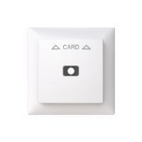 Card switch with frame
